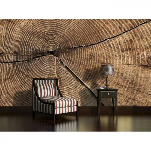 Murales Photomurals II Ref. M-2006VE-MEDIDAS DISPONIBLES