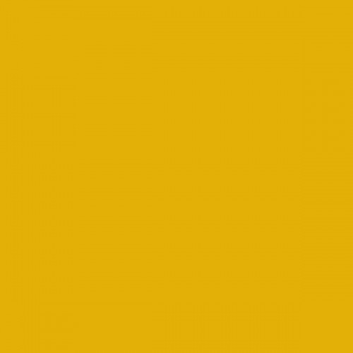 Color RAL - RAL-1004