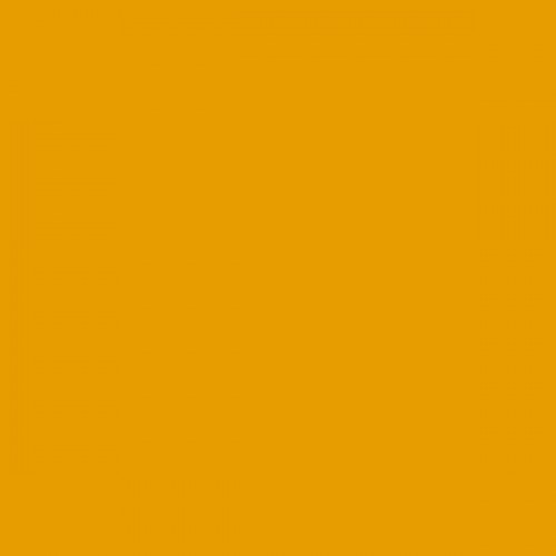 Color RAL - RAL-1007