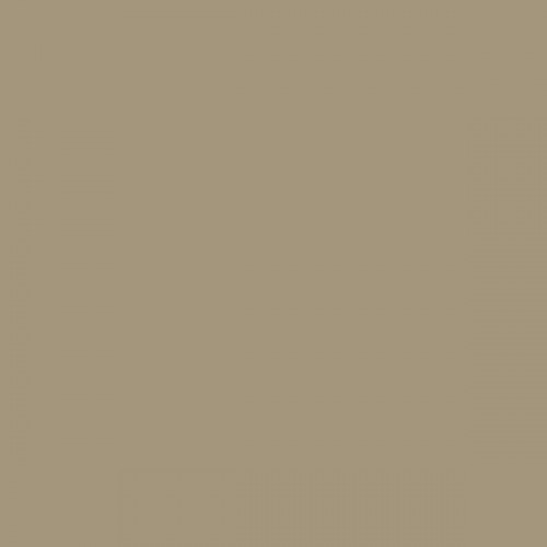 Color RAL - RAL-1019