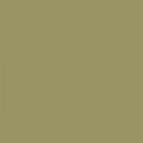 Color RAL - RAL-1020