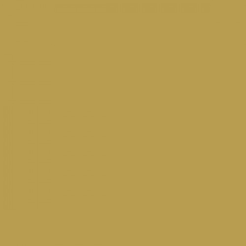 Color RAL - RAL-1024