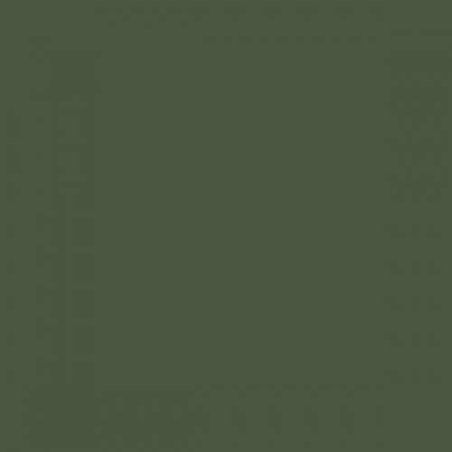Color RAL - RAL-6003
