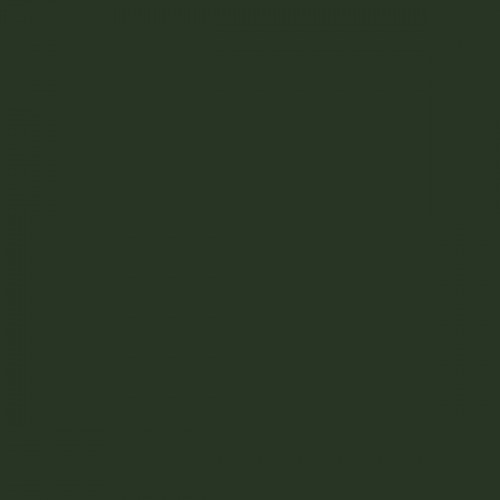 Color RAL - RAL-6007