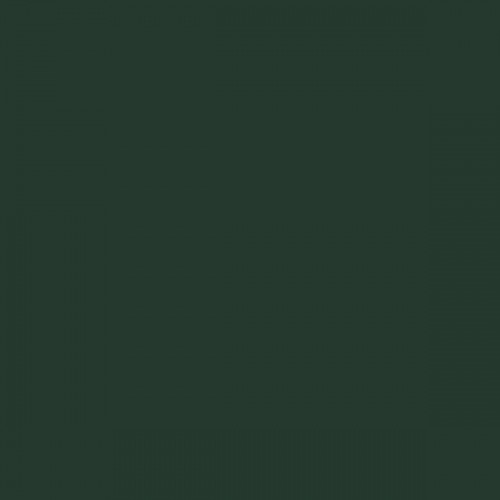 Color RAL - RAL-6009