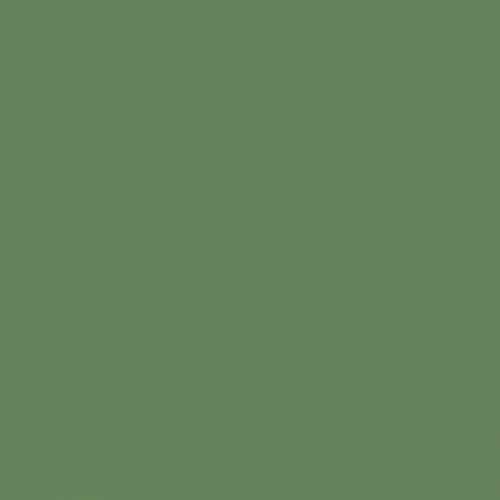 Color RAL - RAL-6011