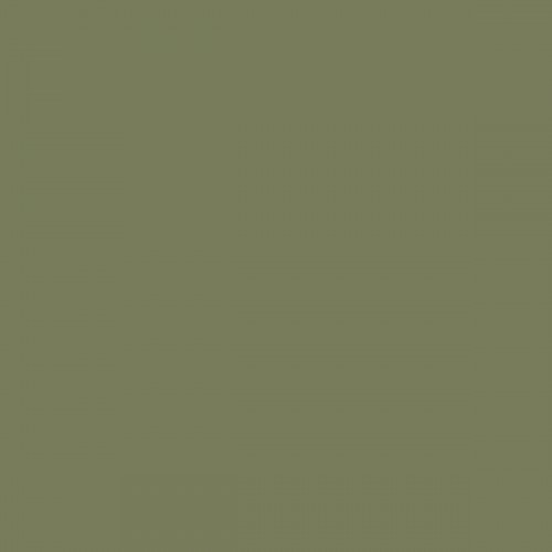 Color RAL - RAL-6013