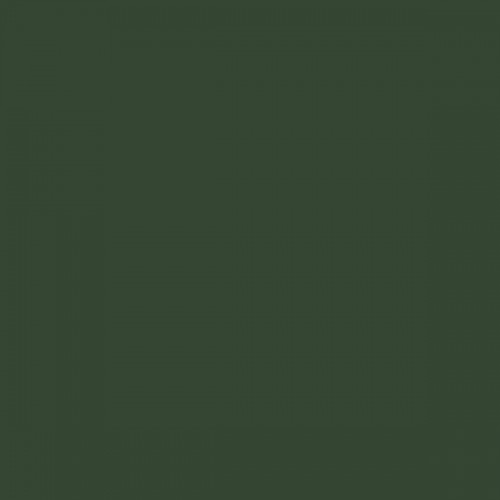Color RAL - RAL-6020