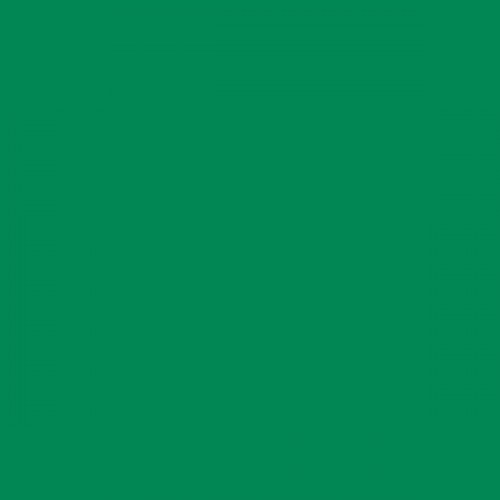 Color RAL - RAL-6024