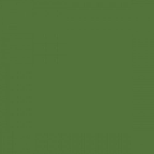 Color RAL - RAL-6025