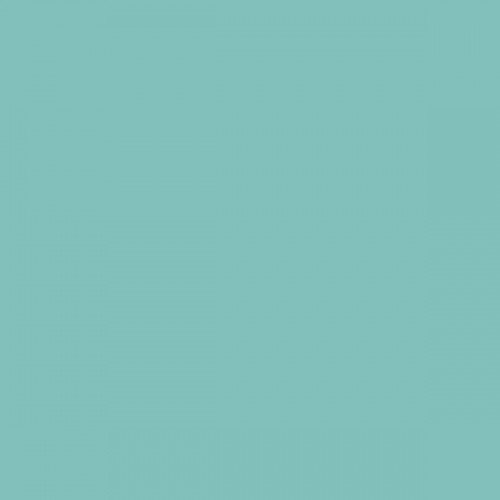 Color RAL - RAL-6027
