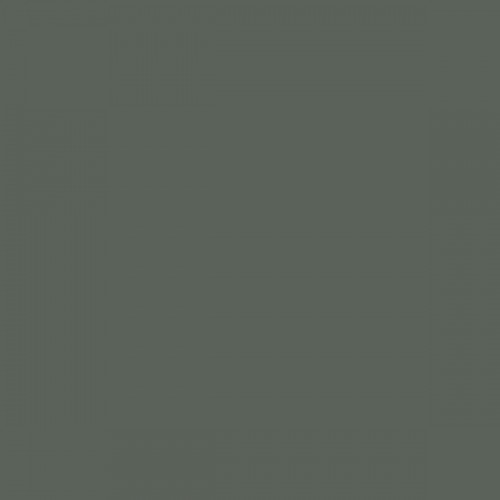 Color RAL - RAL-7009