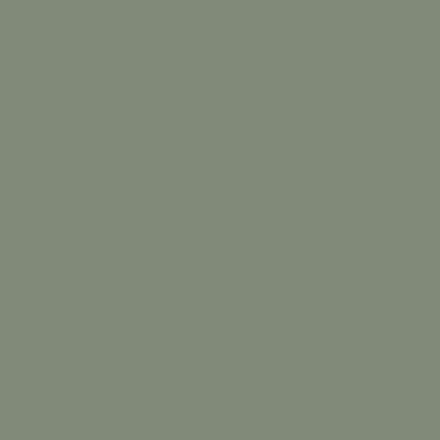 Color RAL - RAL-7033