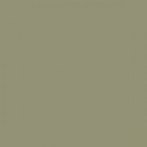 Color RAL - RAL-7034