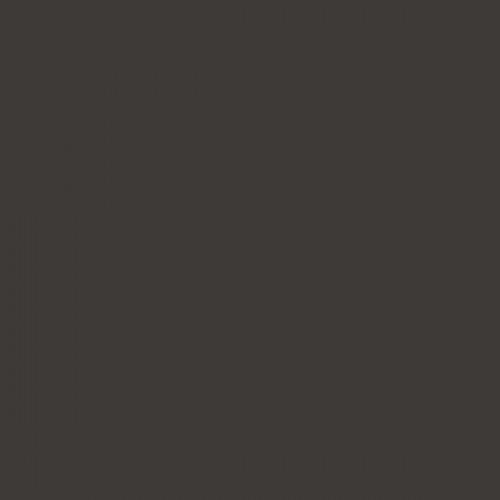 Color RAL - RAL-8019