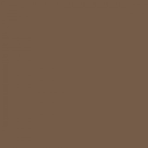 Color RAL - RAL-8025