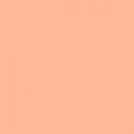 Color NCS  - S-0530-Y60R