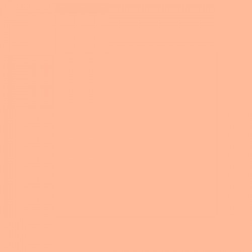 Color NCS  - S-0530-Y60R
