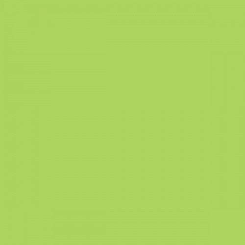 Color NCS  - S-0560-G40Y