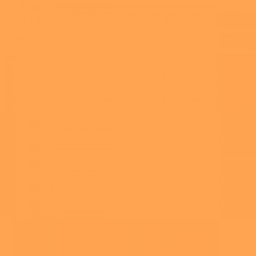 Color NCS  - S-0560-Y40R