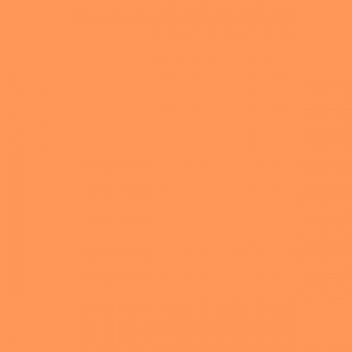 Color NCS  - S-0560-Y50R