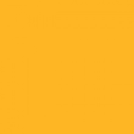 Color NCS  - S-0570-Y20R
