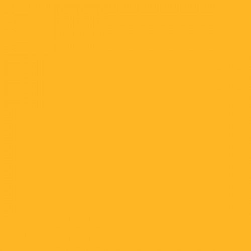 Color NCS  - S-0570-Y20R