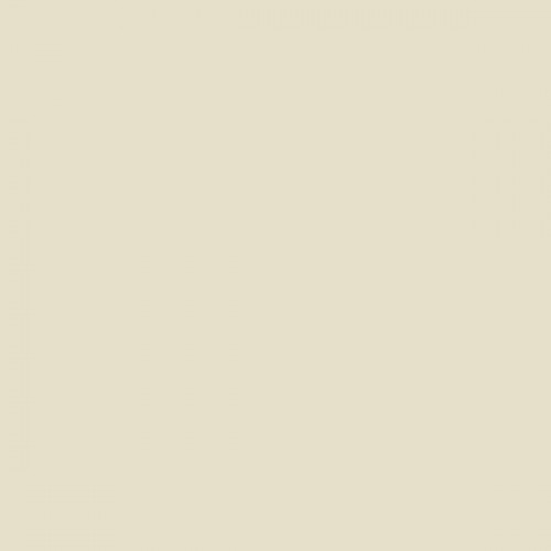 Color NCS  - S-1005-Y