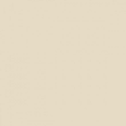 Color NCS  - S-1005-Y20R