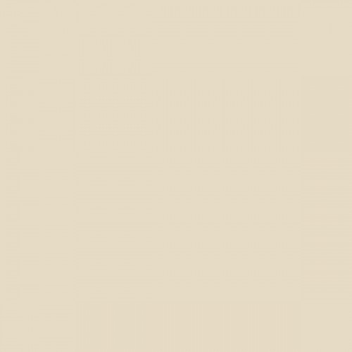 Color NCS  - S-1005-Y20R
