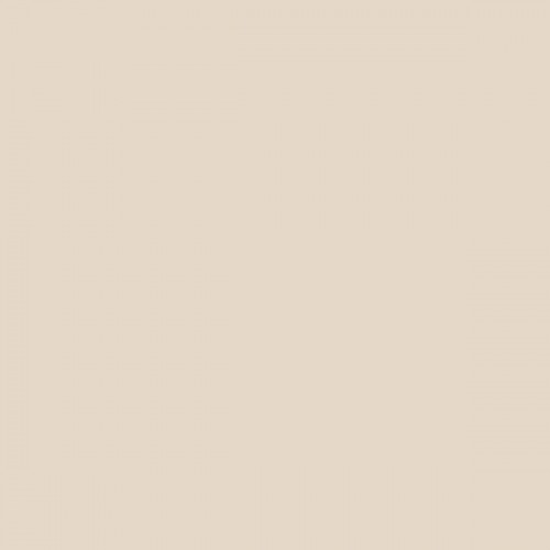 Color NCS  - S-1005-Y50R