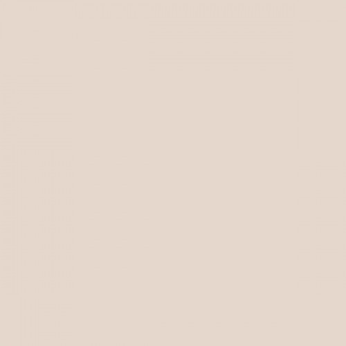 Color NCS  - S-1005-Y70R