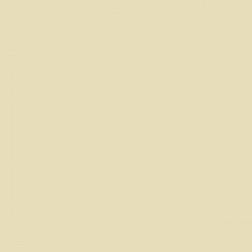 Color NCS  - S-1010-Y