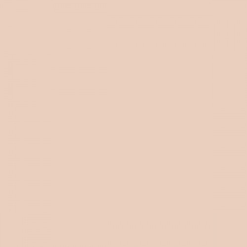 Color NCS  - S-1010-Y60R