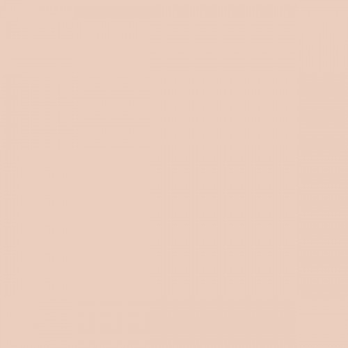 Color NCS  - S-1010-Y70R