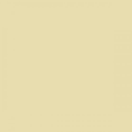 Color NCS  - S-1015-G90Y