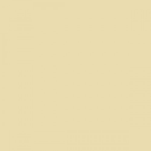 Color NCS  - S-1015-Y