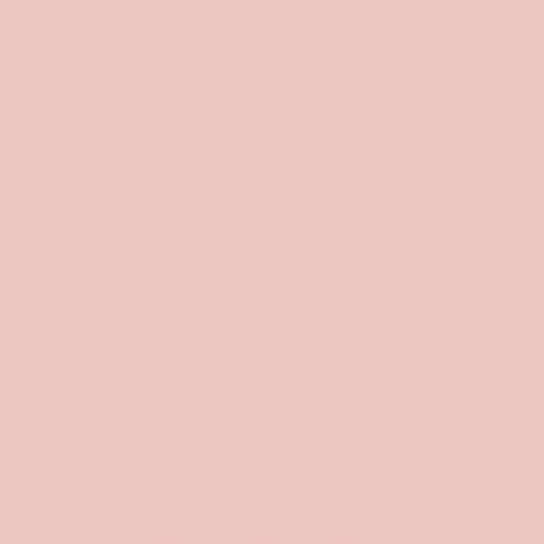 Color NCS  - S-1015-Y90R