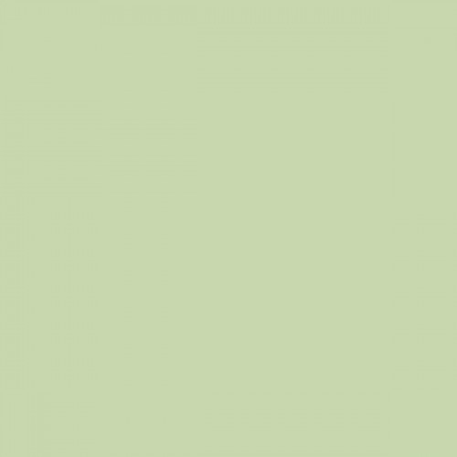 Color NCS  - S-1020-G40Y