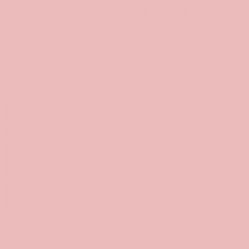 Color NCS  - S-1020-R