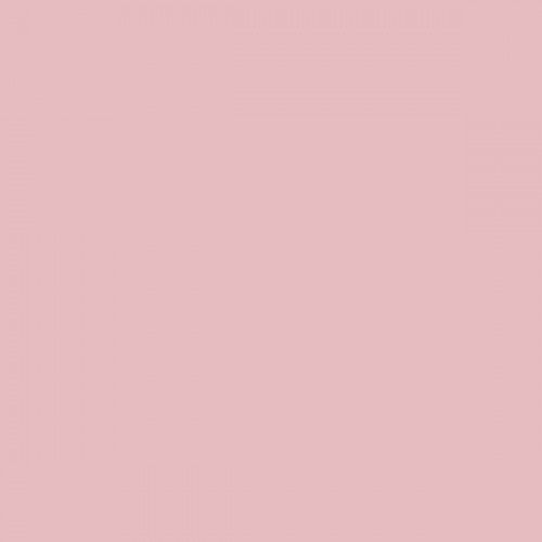 Color NCS  - S-1020-R10B