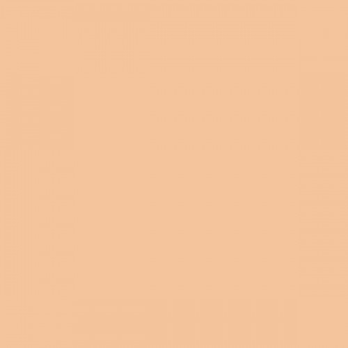 Color NCS  - S-1020-Y40R