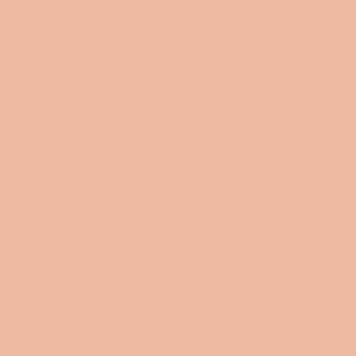 Color NCS  - S-1020-Y60R