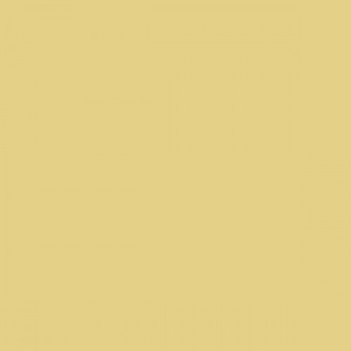 Color NCS  - S-1030-Y