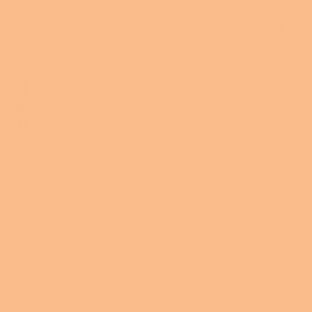 Color NCS  - S-1030-Y40R