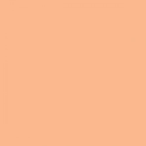 Color NCS  - S-1030-Y50R