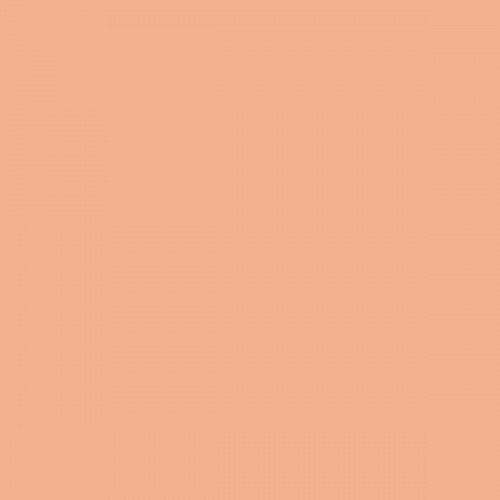 Color NCS  - S-1030-Y60R