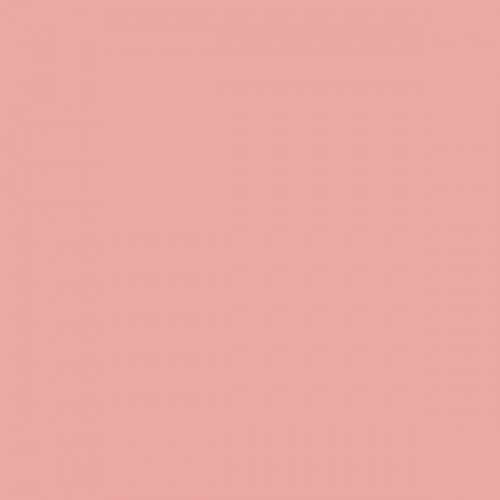 Color NCS  - S-1030-Y90R