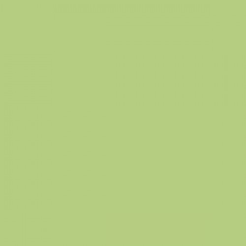 Color NCS  - S-1040-G40Y