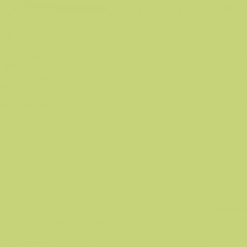 Color NCS  - S-1040-G60Y